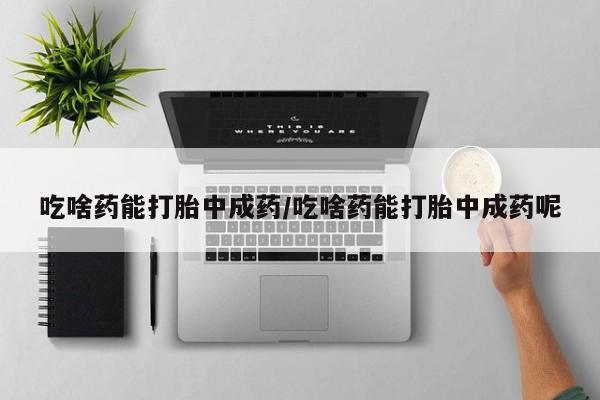 米非司酮片打胎药网店吃啥药能打胎中成药/吃啥药能打胎中成药呢